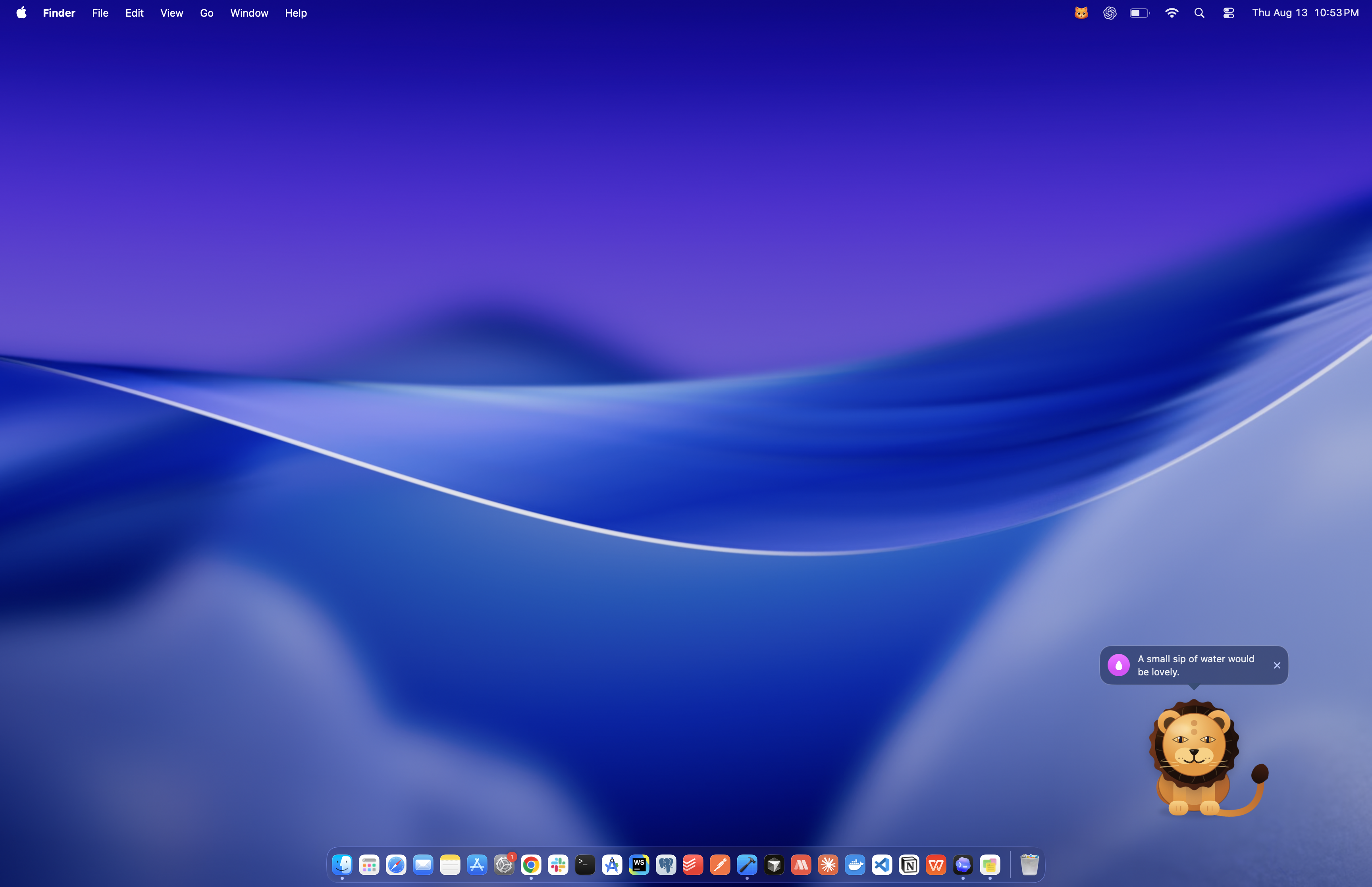 Fyzzle on a Mac desktop with a hydration reminder
