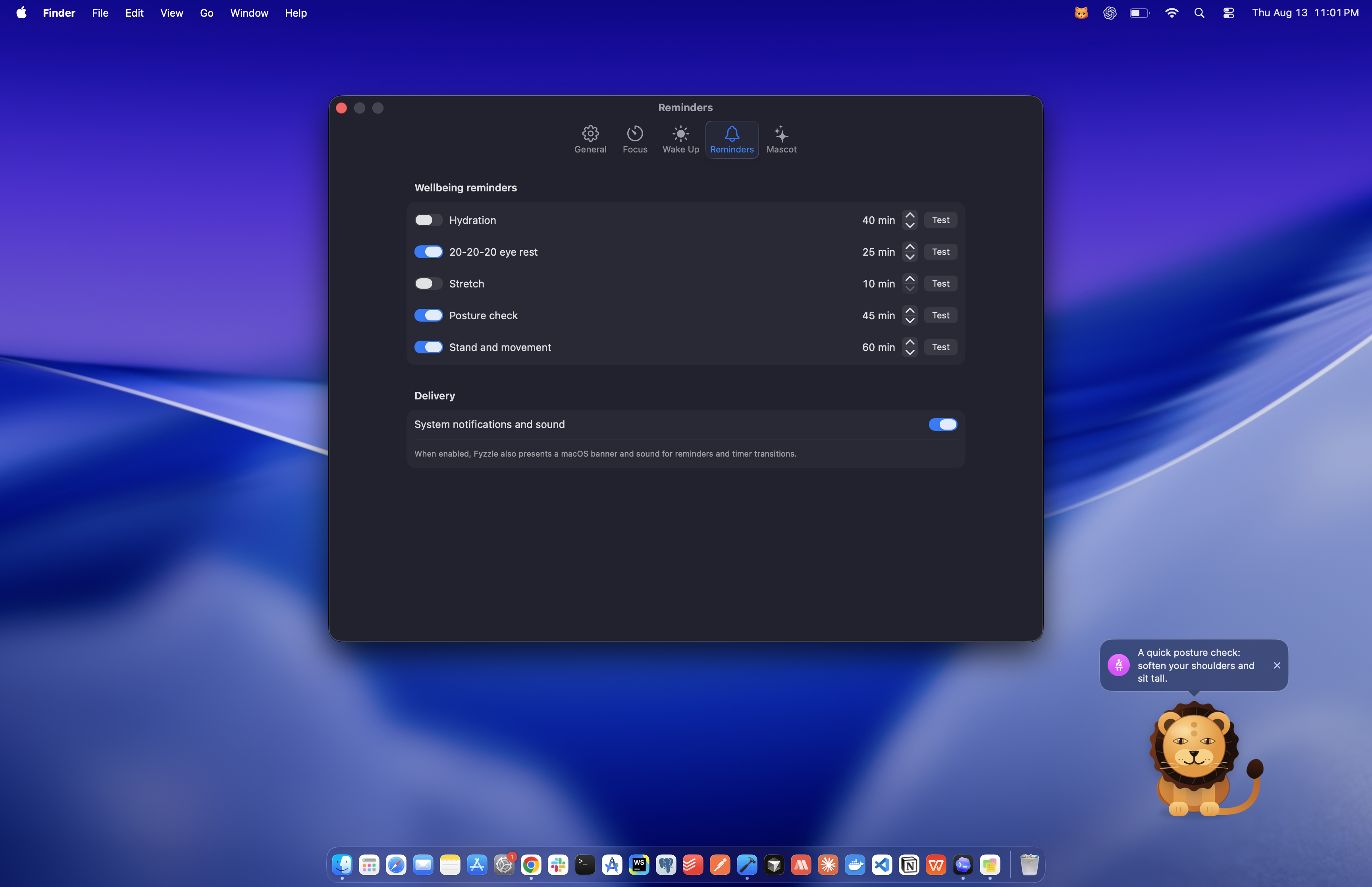 Fyzzle wellbeing reminder settings